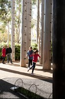 Boy and girl running between trees